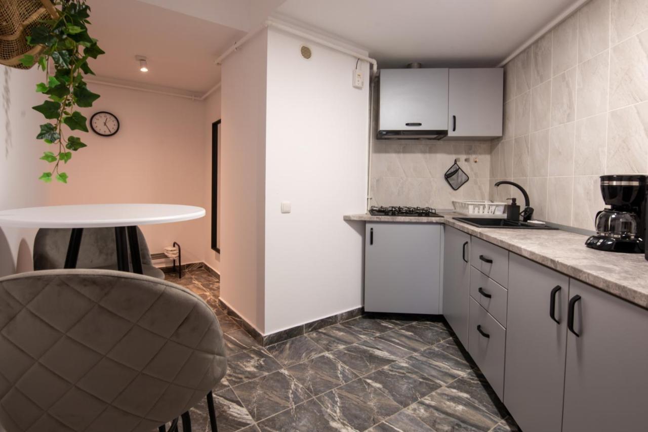 Snowdrop Apartment 시나이아 외부 사진